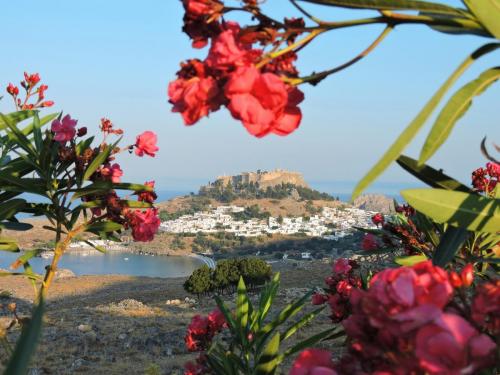 Panoramic nature view of Ancient lindos, part of private tours