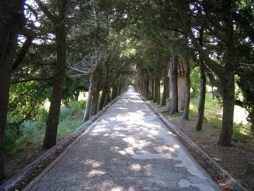 Filerimos path to the cross in Rhodes island
